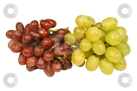 To use this stock image in your creative project, please select the size you need over to the right and click the "Add to Cart" button.
Your downloaded image will come with the Cutcaster watermark removed so don’t worry about the watermark you see on this page. A bunch of red and green grapes. stock photo, A bunch of red and green grapes. by Stephen Rees