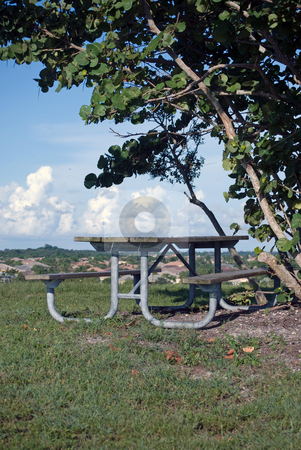 To use this stock image in your creative project, please select the size you need over to the right and click the "Add to Cart" button.
Your downloaded image will come with the Cutcaster watermark removed so don’t worry about the watermark you see on this page. Picnic Table and tree stock photo, Picnic table and tree at a park by Robert Cabrera