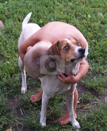 To use this stock image in your creative project, please select the size you need over to the right and click the "Add to Cart" button.
Your downloaded image will come with the Cutcaster watermark removed so don’t worry about the watermark you see on this page. Child hugging dog stock photo, A little boy hugging his dog by Michelle Bergkamp