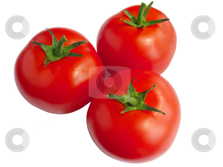 To use this stock image in your creative project, please select the size you need over to the right and click the "Add to Cart" button.
Your downloaded image will come with the Cutcaster watermark removed so don’t worry about the watermark you see on this page. Three tomatoes isolated over a white background. stock photo, Three tomatoes isolated over a white background. by Stephen Rees