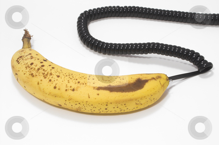 To use this stock image in your creative project, please select the size you need over to the right and click the "Add to Cart" button.
Your downloaded image will come with the Cutcaster watermark removed so don’t worry about the watermark you see on this page. Banana Phone stock photo, A ripe and just picked banana phone. by Robert Byron