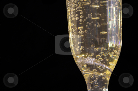 To use this stock image in your creative project, please select the size you need over to the right and click the "Add to Cart" button.
Your downloaded image will come with the Cutcaster watermark removed so don’t worry about the watermark you see on this page. Engagement Ring in Champagne stock photo, An engagement ring in a glass of champagne. by Robert Byron