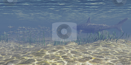 To use this stock image in your creative project, please select the size you need over to the right and click the "Add to Cart" button.
Your downloaded image will come with the Cutcaster watermark removed so don’t worry about the watermark you see on this page. Under Water scene stock photo, Under water scene. 3D image with shark and school of fish. by John Teeter