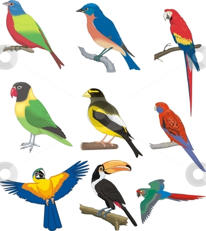 To use this stock image in your creative project, please select the size you need over to the right and click the "Add to Cart" button.
Your downloaded image will come with the Cutcaster watermark removed so don’t worry about the watermark you see on this page. Multiple birds stock photo, Vector design elements print, creacive by Zirbo Ovidiu