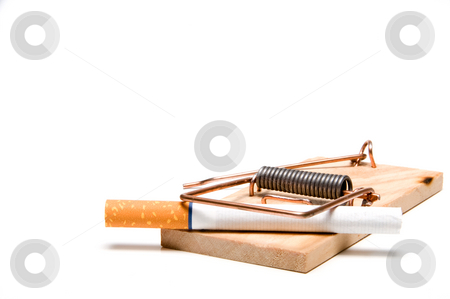 To use this stock image in your creative project, please select the size you need over to the right and click the "Add to Cart" button.
Your downloaded image will come with the Cutcaster watermark removed so don’t worry about the watermark you see on this page. Stop Smoking stock photo, A cigarette caught in a wooden mousetrap. by Robert Byron