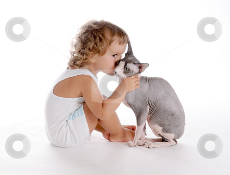 To use this stock image in your creative project, please select the size you need over to the right and click the "Add to Cart" button.
Your downloaded image will come with the Cutcaster watermark removed so don’t worry about the watermark you see on this page. Boy and Cat 3 stock photo, Little Curly-headed Boy and Cat by Valeriy Mazur