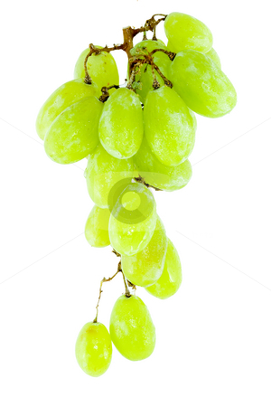 To use this stock image in your creative project, please select the size you need over to the right and click the "Add to Cart" button.
Your downloaded image will come with the Cutcaster watermark removed so don’t worry about the watermark you see on this page. Bunch of Grapes stock photo, Detail of a bunch of grapes on the white background by Petr Koudelka