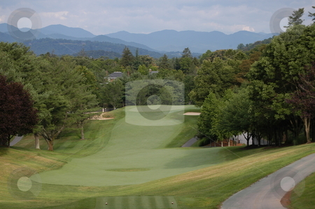 To use this stock image in your creative project, please select the size you need over to the right and click the "Add to Cart" button.
Your downloaded image will come with the Cutcaster watermark removed so don’t worry about the watermark you see on this page. Golf fairway stock photo, A long golf fairway in the North Carolina mountains by Tim Markley