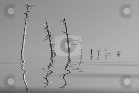 To use this stock image in your creative project, please select the size you need over to the right and click the "Add to Cart" button.
Your downloaded image will come with the Cutcaster watermark removed so don’t worry about the watermark you see on this page. Dead trees stock photo, Dead trees over calm water . (in black and white) by Serge VILLA