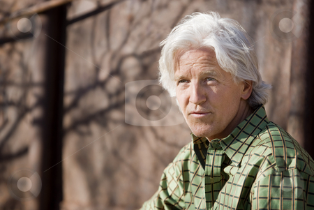 To use this stock image in your creative project, please select the size you need over to the right and click the "Add to Cart" button.
Your downloaded image will come with the Cutcaster watermark removed so don’t worry about the watermark you see on this page. Handsome Man stock photo, Handsome man with gray hair and a green shirt by Scott Griessel