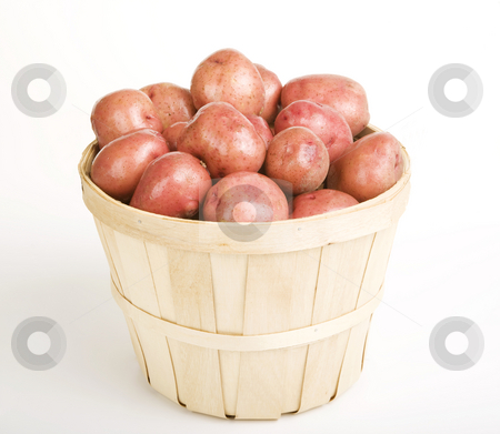 To use this stock image in your creative project, please select the size you need over to the right and click the "Add to Cart" button.
Your downloaded image will come with the Cutcaster watermark removed so don’t worry about the watermark you see on this page. Red Potatoes stock photo, Red Potatoes gathered in a Woven Basket by Scott Griessel