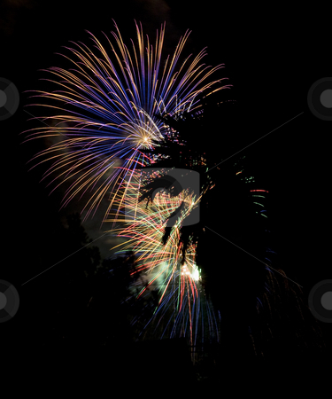 To use this stock image in your creative project, please select the size you need over to the right and click the "Add to Cart" button.
Your downloaded image will come with the Cutcaster watermark removed so don’t worry about the watermark you see on this page. California Fireworks stock photo, Fireworks behind a palm tree in silhouette by Scott Griessel