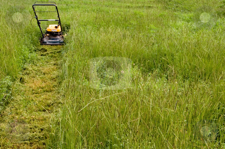 To use this stock image in your creative project, please select the size you need over to the right and click the "Add to Cart" button.
Your downloaded image will come with the Cutcaster watermark removed so don’t worry about the watermark you see on this page. Mowing the Lawn stock photo, A lawnmower on the lawn in the afternoon. by Robert Byron