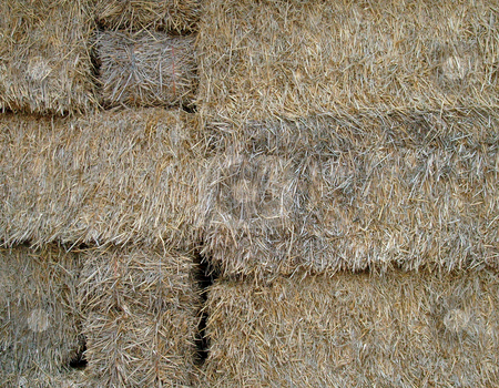 To use this stock image in your creative project, please select the size you need over to the right and click the "Add to Cart" button.
Your downloaded image will come with the Cutcaster watermark removed so don’t worry about the watermark you see on this page. Close up of straw bales stock photo, Close up of some bales of straw. by Martin Crowdy