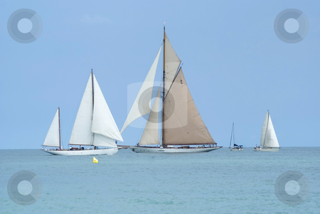 To use this stock image in your creative project, please select the size you need over to the right and click the "Add to Cart" button.
Your downloaded image will come with the Cutcaster watermark removed so don’t worry about the watermark you see on this page. Regatta stock photo, Old Sailing Boat during a regatta in Antibes (French Riviera) by Serge VILLA