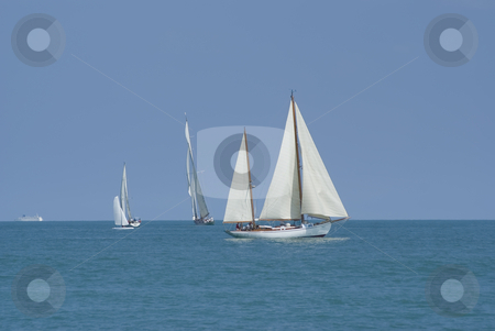 To use this stock image in your creative project, please select the size you need over to the right and click the "Add to Cart" button.
Your downloaded image will come with the Cutcaster watermark removed so don’t worry about the watermark you see on this page. Regatta stock photo, Old Sailing Boat during a regatta in Antibes (French Riviera) by Serge VILLA