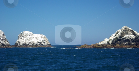 To use this stock image in your creative project, please select the size you need over to the right and click the "Add to Cart" button.
Your downloaded image will come with the Cutcaster watermark removed so don’t worry about the watermark you see on this page. Farallon Islands California stock photo, Some of the smaller Farallon Islands covered in white bird guano. by Lynn Bendickson