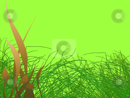 To use this stock image in your creative project, please select the size you need over to the right and click the "Add to Cart" button.
Your downloaded image will come with the Cutcaster watermark removed so don’t worry about the watermark you see on this page. Green Grass Strands and Brown Leafy Pattern stock photo, Green Grass Strands and Brown Leafy Pattern on light Green Background by Robert Davies