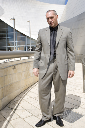 To use this stock image in your creative project, please select the size you need over to the right and click the "Add to Cart" button.
Your downloaded image will come with the Cutcaster watermark removed so don’t worry about the watermark you see on this page. Business Man Series stock photo, Fashion model posing as business man in front of high tech building by Csaba Fikker