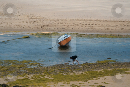 To use this stock image in your creative project, please select the size you need over to the right and click the "Add to Cart" button.
Your downloaded image will come with the Cutcaster watermark removed so don’t worry about the watermark you see on this page. Fisherman stock photo, A fisherman collecting shells on a Brittany beach by Serge VILLA