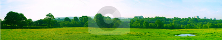 To use this stock image in your creative project, please select the size you need over to the right and click the "Add to Cart" button.
Your downloaded image will come with the Cutcaster watermark removed so don’t worry about the watermark you see on this page. Green Field Meadow with Buttercups and Small Pond stock photo, Green Field Meadow with Buttercups and Small Pond Bright Blue Sky Buildings in Distance by Robert Davies