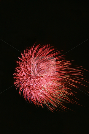 To use this stock image in your creative project, please select the size you need over to the right and click the "Add to Cart" button.
Your downloaded image will come with the Cutcaster watermark removed so don’t worry about the watermark you see on this page. Fireworks 2 stock photo, Bright colorful fireworks isolated against a black sky by Jonas Marcos San Luis