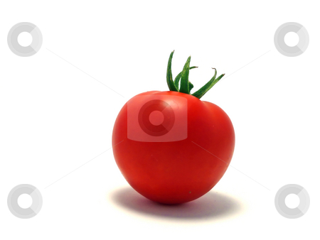 To use this stock image in your creative project, please select the size you need over to the right and click the "Add to Cart" button.
Your downloaded image will come with the Cutcaster watermark removed so don’t worry about the watermark you see on this page. Tomato stock photo, Tomato on white background by Corinna Walby