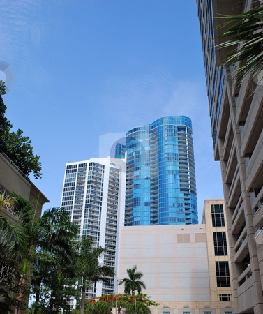 To use this stock image in your creative project, please select the size you need over to the right and click the "Add to Cart" button.
Your downloaded image will come with the Cutcaster watermark removed so don’t worry about the watermark you see on this page. Fort Lauderdale Downtown stock photo, View of downtown Fort Lauderdale City by Robert Cabrera