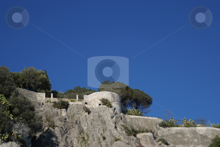To use this stock image in your creative project, please select the size you need over to the right and click the "Add to Cart" button.
Your downloaded image will come with the Cutcaster watermark removed so don’t worry about the watermark you see on this page. Garden stock photo, Mediterranean flora in Provence (French Riviera) by Serge VILLA