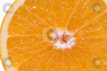 To use this stock image in your creative project, please select the size you need over to the right and click the "Add to Cart" button.
Your downloaded image will come with the Cutcaster watermark removed so don’t worry about the watermark you see on this page. Sliced Orange stock photo, A cross section of a fresh and juicy orange. by Robert Byron