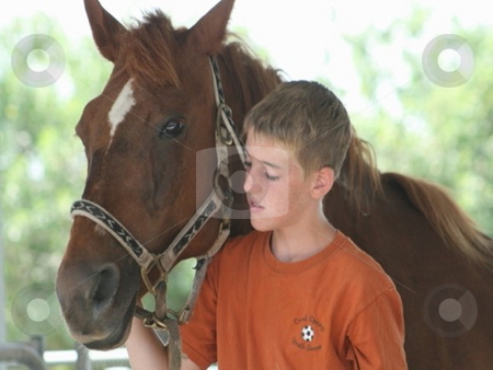 To use this stock image in your creative project, please select the size you need over to the right and click the "Add to Cart" button.
Your downloaded image will come with the Cutcaster watermark removed so don’t worry about the watermark you see on this page. Boy leading horse stock photo, A boy leading a horse out to pasture by Lori Kirk