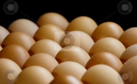 To use this stock image in your creative project, please select the size you need over to the right and click the "Add to Cart" button.
Your downloaded image will come with the Cutcaster watermark removed so don’t worry about the watermark you see on this page. Eggs stock photo, Eggs sorted below soft and warm light. by Sinisa Botas