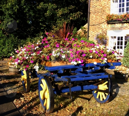 To use this stock image in your creative project, please select the size you need over to the right and click the "Add to Cart" button.
Your downloaded image will come with the Cutcaster watermark removed so don’t worry about the watermark you see on this page. Flower Cart stock photo, Old horse drawn cart used for a flower display in the grounds of the Alvanley Arms pub, Cheshire England by Ray Roscoe