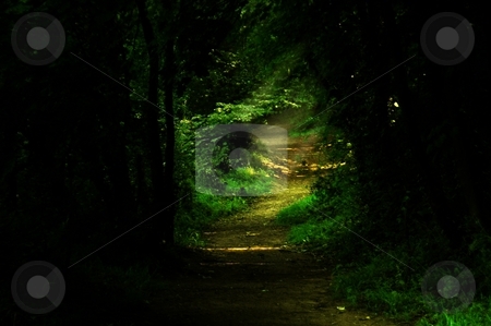 To use this stock image in your creative project, please select the size you need over to the right and click the "Add to Cart" button.
Your downloaded image will come with the Cutcaster watermark removed so don’t worry about the watermark you see on this page. Pathway through the woods stock photo, Eccleston ferry pathway by Ray Roscoe