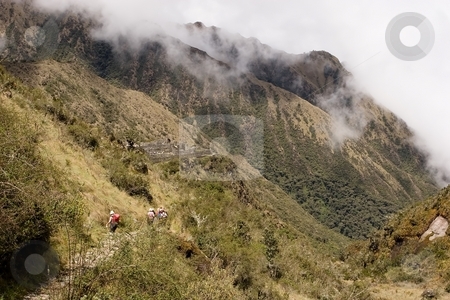 To use this stock image in your creative project, please select the size you need over to the right and click the "Add to Cart" button.
Your downloaded image will come with the Cutcaster watermark removed so don’t worry about the watermark you see on this page. Paqaymayo to Sayacmarca to Chaquicocha to Phuyupatamarca to Wi?a stock photo, Most popular of the Inca trails for trekking is the Capaq ?an trail, which leads from the village of Ollantaytambo to Machu Picchu by Mariusz Jurgielewicz
