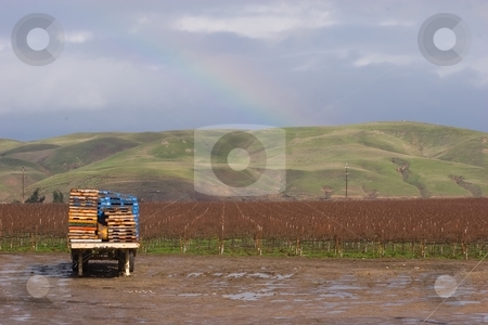 To use this stock image in your creative project, please select the size you need over to the right and click the "Add to Cart" button.
Your downloaded image will come with the Cutcaster watermark removed so don’t worry about the watermark you see on this page. Gonzales stock photo, Winery near Gonzales, California by Mariusz Jurgielewicz