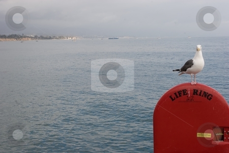 To use this stock image in your creative project, please select the size you need over to the right and click the "Add to Cart" button.
Your downloaded image will come with the Cutcaster watermark removed so don’t worry about the watermark you see on this page. Santa Barbara Coast stock photo, Coast along southern Santa Barbara County is often referred to as the