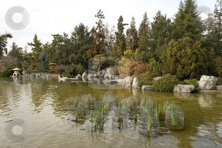 To use this stock image in your creative project, please select the size you need over to the right and click the "Add to Cart" button.
Your downloaded image will come with the Cutcaster watermark removed so don’t worry about the watermark you see on this page. Japanese Friendship Garden stock photo, Japanese Friendship Garden is a walled section of Kelley Park in San Jose, California by Mariusz Jurgielewicz
