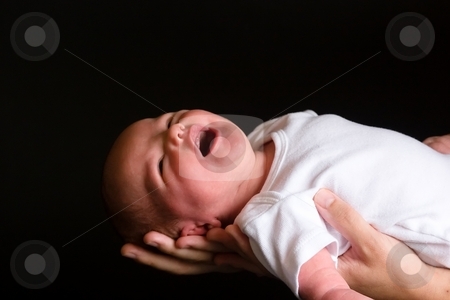 To use this stock image in your creative project, please select the size you need over to the right and click the "Add to Cart" button.
Your downloaded image will come with the Cutcaster watermark removed so don’t worry about the watermark you see on this page. Newborn stock photo, Little 7 days old baby lying securely on mom's arms, against a black background by Mariusz Jurgielewicz
