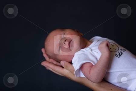 To use this stock image in your creative project, please select the size you need over to the right and click the "Add to Cart" button.
Your downloaded image will come with the Cutcaster watermark removed so don’t worry about the watermark you see on this page. Newborn stock photo, Little 7 days old baby lying securely on mom's arms, against a black background by Mariusz Jurgielewicz