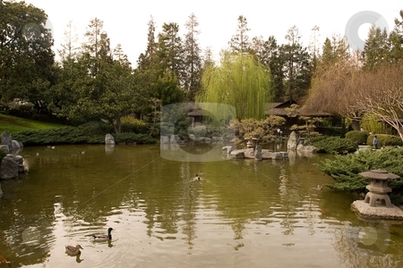 To use this stock image in your creative project, please select the size you need over to the right and click the "Add to Cart" button.
Your downloaded image will come with the Cutcaster watermark removed so don’t worry about the watermark you see on this page. Japanese Friendship Garden stock photo, Japanese Friendship Garden is a walled section of Kelley Park in San Jose, California by Mariusz Jurgielewicz