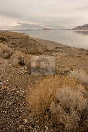To use this stock image in your creative project, please select the size you need over to the right and click the "Add to Cart" button.
Your downloaded image will come with the Cutcaster watermark removed so don’t worry about the watermark you see on this page. Pyramid Lake stock photo, Pyramid Lake is an endorheic salt lake, approximately 188 square miles (487 km?) in area, in the Great Basin in the northwestern part of the U.S. state of Nevada by Mariusz Jurgielewicz