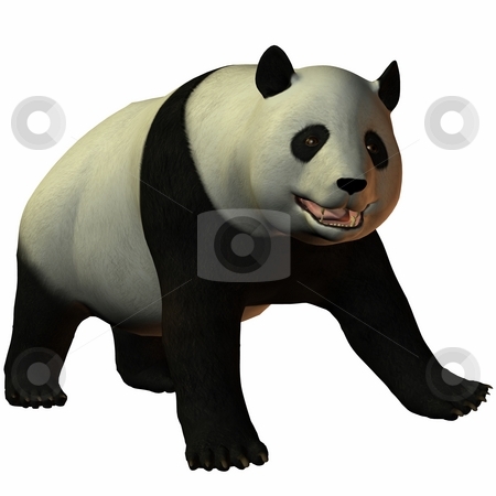 To use this stock image in your creative project, please select the size you need over to the right and click the "Add to Cart" button.
Your downloaded image will come with the Cutcaster watermark removed so don’t worry about the watermark you see on this page. Toon Panda stock photo, 3D Render of an Toon Panda by Andreas Meyer