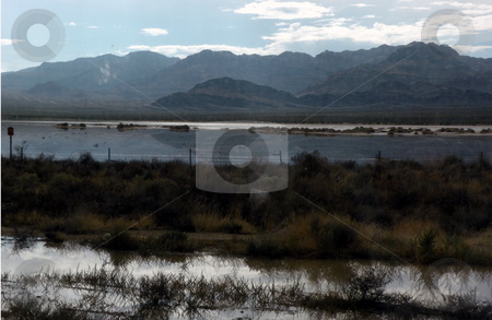 To use this stock image in your creative project, please select the size you need over to the right and click the "Add to Cart" button.
Your downloaded image will come with the Cutcaster watermark removed so don’t worry about the watermark you see on this page. Mountains reflected stock photo, Fresh rain fall in the dessert reflecting the mountains in the background by Rob Wright
