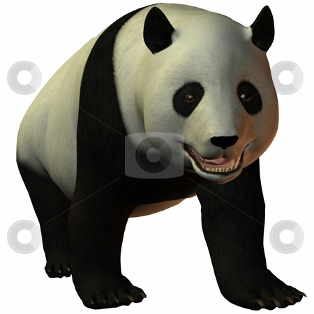 To use this stock image in your creative project, please select the size you need over to the right and click the "Add to Cart" button.
Your downloaded image will come with the Cutcaster watermark removed so don’t worry about the watermark you see on this page. Toon Panda stock photo, 3D Render of an Toon Panda by Andreas Meyer
