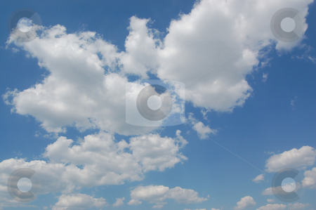 To use this stock image in your creative project, please select the size you need over to the right and click the "Add to Cart" button.
Your downloaded image will come with the Cutcaster watermark removed so don’t worry about the watermark you see on this page. Blue sky with cumulus clouds stock photo, Blue sky with cumulus clouds. by Karen Koomans