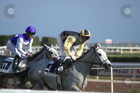 To use this stock image in your creative project, please select the size you need over to the right and click the "Add to Cart" button.
Your downloaded image will come with the Cutcaster watermark removed so don’t worry about the watermark you see on this page. Horseback racing stock photo, Courses de chevaux sur hippodrome by Serge VILLA