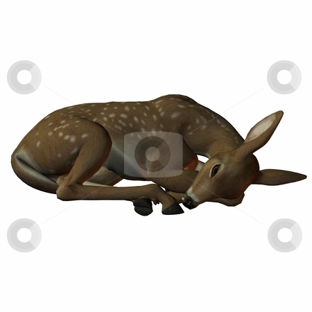 To use this stock image in your creative project, please select the size you need over to the right and click the "Add to Cart" button.
Your downloaded image will come with the Cutcaster watermark removed so don’t worry about the watermark you see on this page. Fawn stock photo, 3D Render of an Fawn by Andreas Meyer