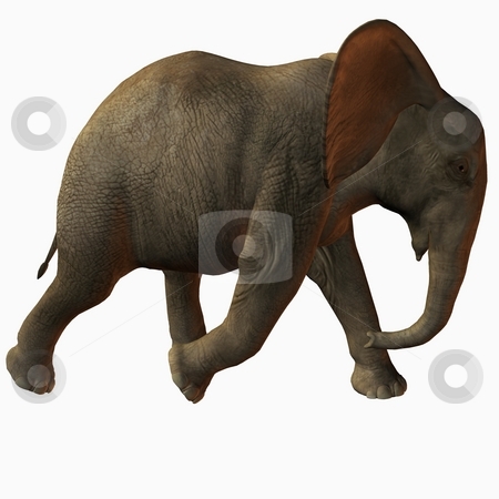 To use this stock image in your creative project, please select the size you need over to the right and click the "Add to Cart" button.
Your downloaded image will come with the Cutcaster watermark removed so don’t worry about the watermark you see on this page. Baby Elephant stock photo, 3D Render of an Baby Elephant by Andreas Meyer