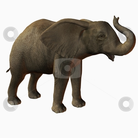 To use this stock image in your creative project, please select the size you need over to the right and click the "Add to Cart" button.
Your downloaded image will come with the Cutcaster watermark removed so don’t worry about the watermark you see on this page. Baby Elephant stock photo, 3D Render of an Baby Elephan by Andreas Meyer